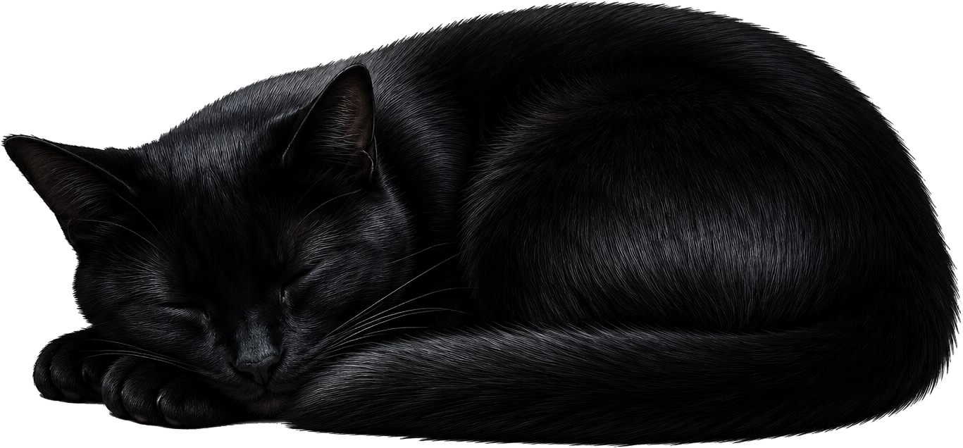 Schlafende schwarze Katze auf dem Felsen